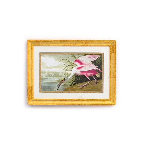 Framed and Matted Roseate Spoonbill