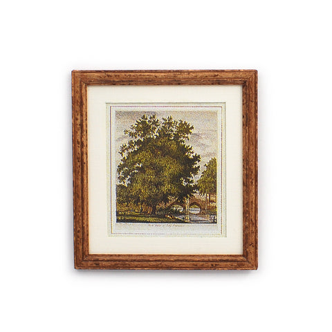 Framed Print with Tree and Bridge