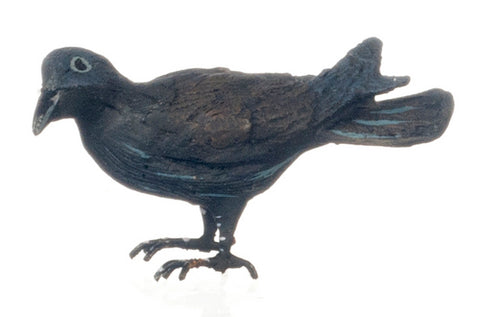 American Crow, ON BACKORDER