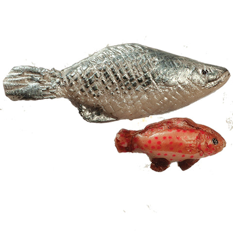 Fish, Set of 2