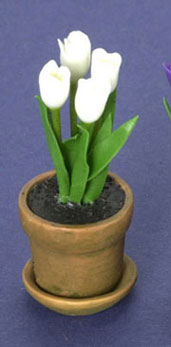 Small Pot of White Tulips, LAST ONE
