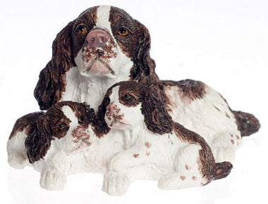 Springer Spaniel with Puppies, Brown and White, Limited Stock