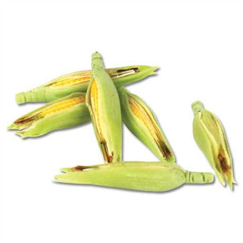 Corn, Set of Six Ears