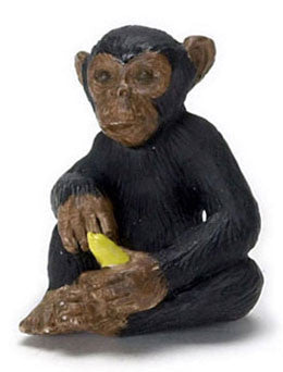 Chimpanzee with Bannana