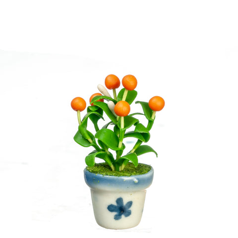 Orange Tree Plant, Small