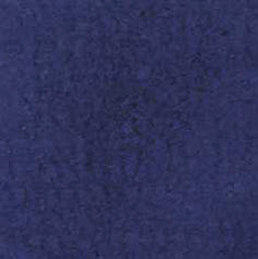 Dark Blue Carpeting