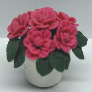 Pink Roses in a White Pot