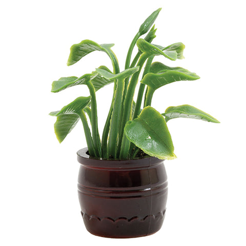 Green Plant in Brown Pot