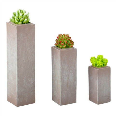 Succulents in Tall Planters, Set of Three