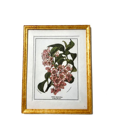 Botanical Print - Pink Weigela