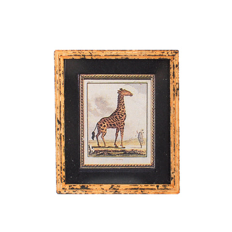 Framed Print, Giraffe