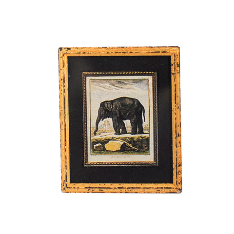 Print, Elephant