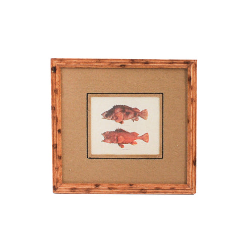 Fish Print B, Matted and Framed