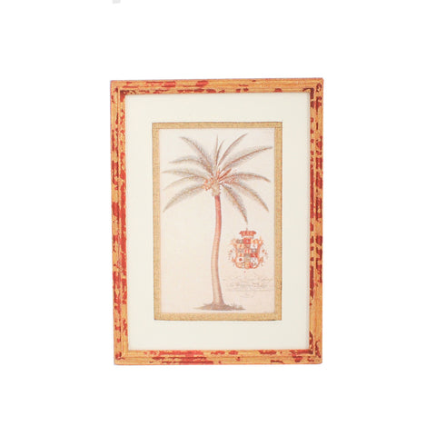 Framed Print with Palm Tree
