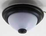 Ceiling Light, Flush Mount, Frosted With Black, Electrified