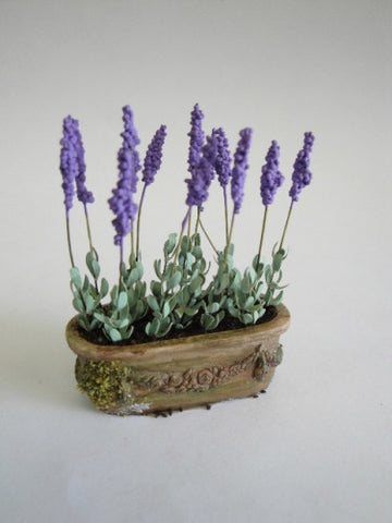 Lavender Planter by Paula Gilhooley
