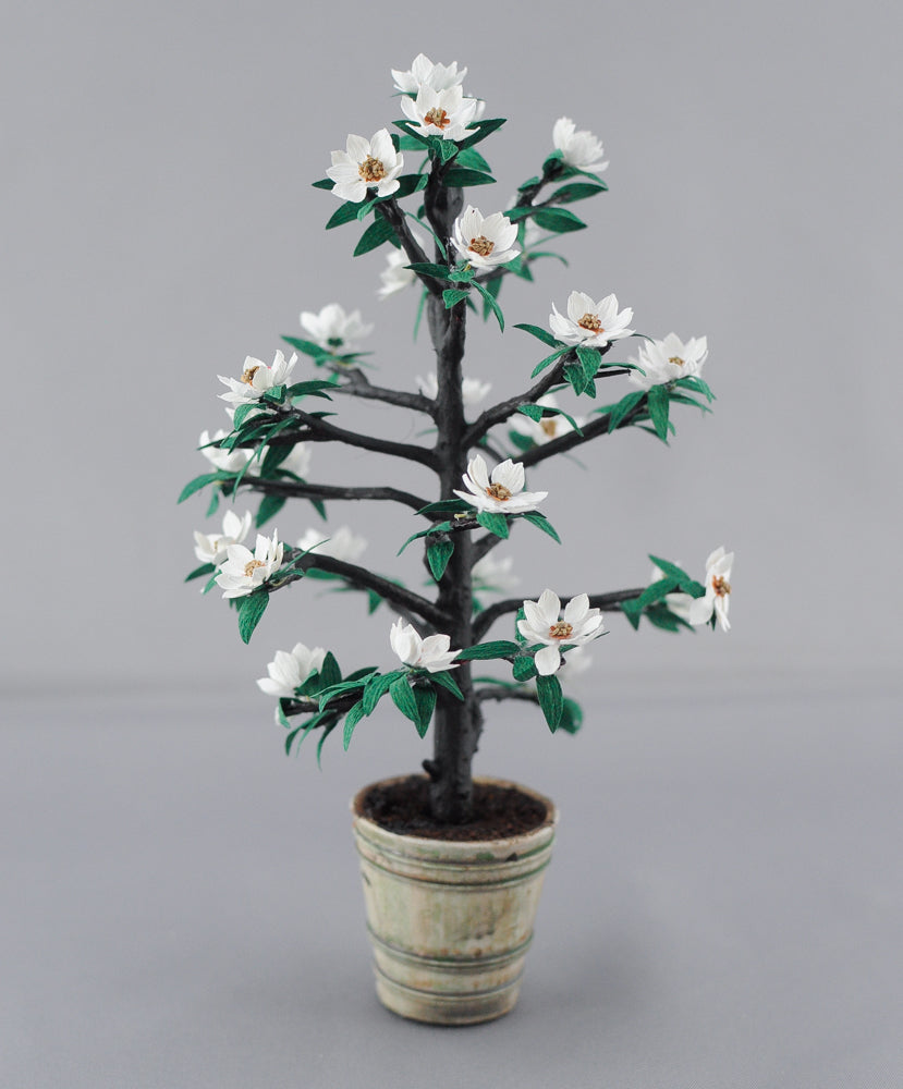☆Magnolia☆ Pebbles Magnolia Flower Pebbles Mosaic | 12