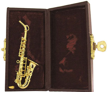 Saxophone with Case