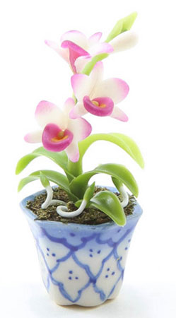 Pink Orchid in Blue and White Pot