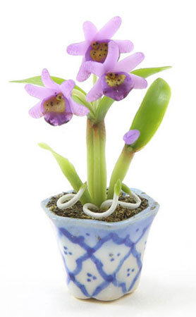 Purple Orchid in Blue and White Vase