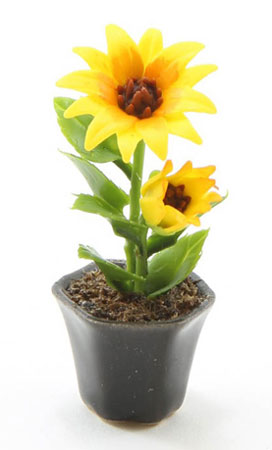 Sunflower Plant in Black Vase