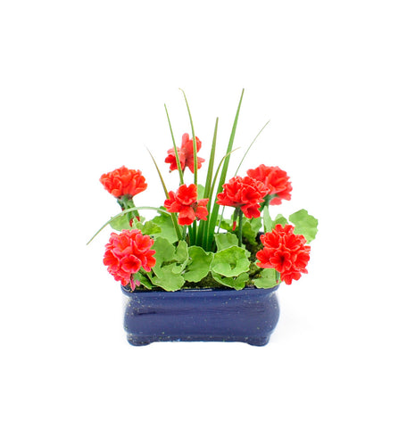 Red Geraniums in Oblong Planter