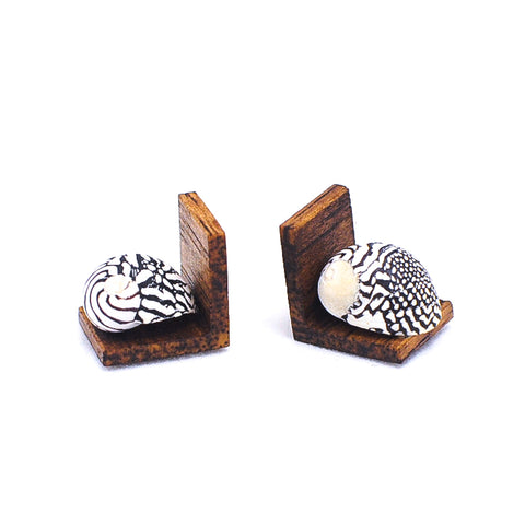 Bookends, Zebra Nerite Seashell