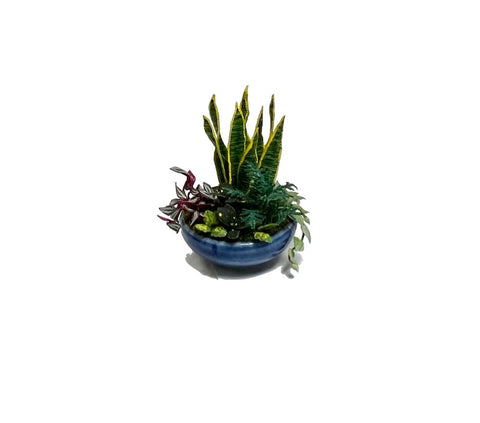 Dish Garden with Snake Plant
